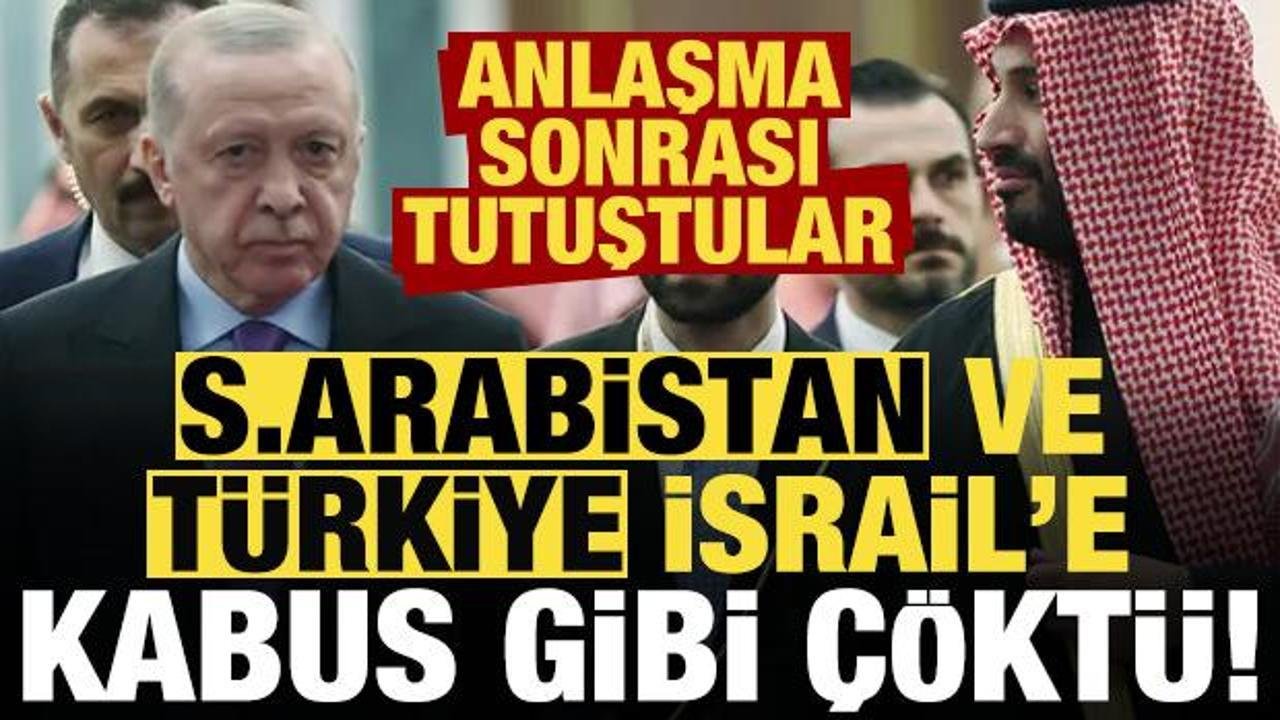 Basın Analizi